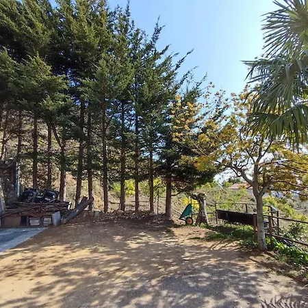 Detached House With Garden And Sea View Country house *