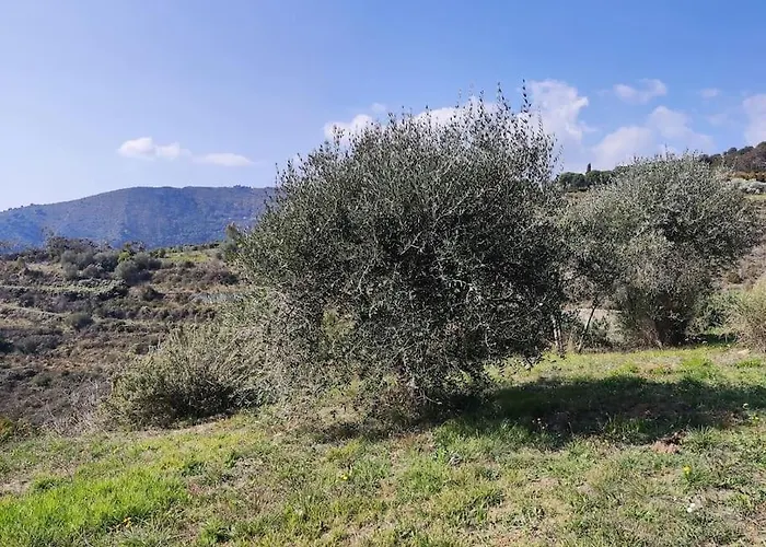 Detached House With Garden And Sea View